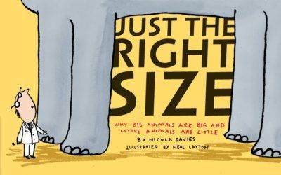 Book Cover: Just the Right Size: Why Big Animals Are Big and Little Animals Are Little