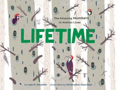 Book Cover: Lifetime